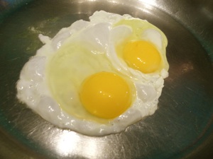 Double yolked egg